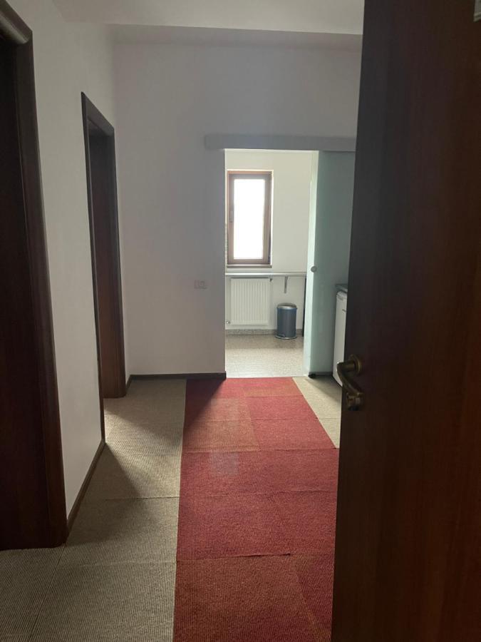 Vila Cu Trandafiri Cozy Apartments 2 Camere Bragadiru Екстериор снимка