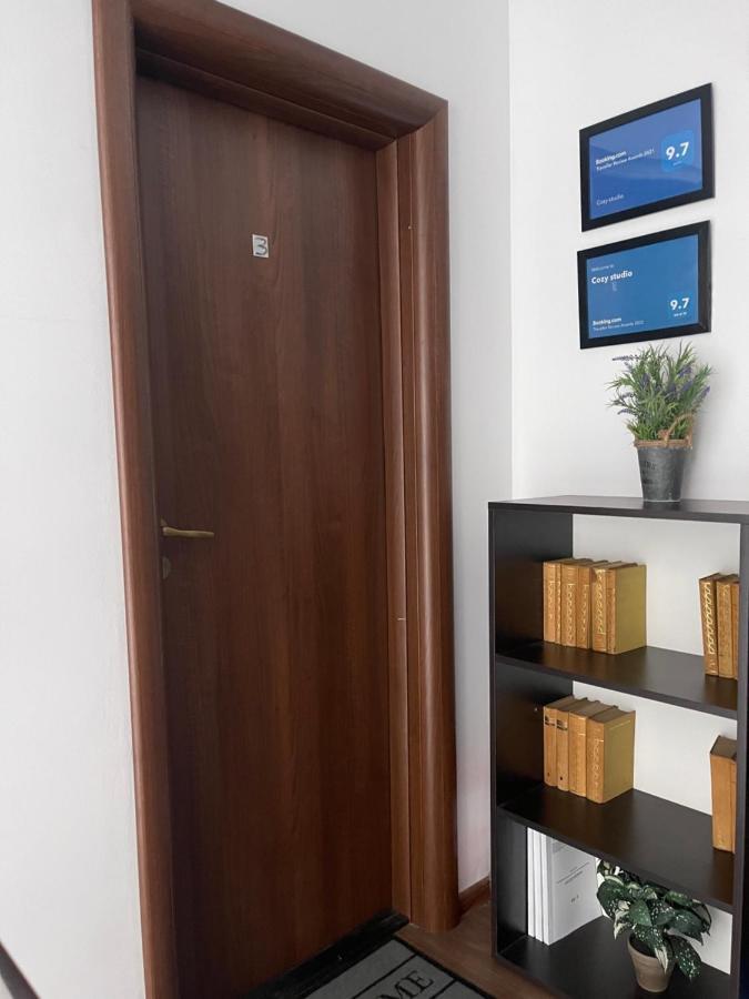 Vila Cu Trandafiri Cozy Apartments 2 Camere Bragadiru Екстериор снимка